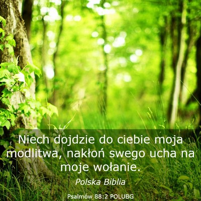 Picture 03 - Psalmów 88:2 POLUBG - Niech dojdzie do ciebie moja modlitwa, nakłoń - Bible Verse Picture