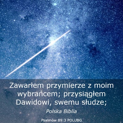 Picture 03 - Psalmów 89:3 POLUBG - Zawarłem przymierze z moim wybrańcem; - Bible Verse Picture