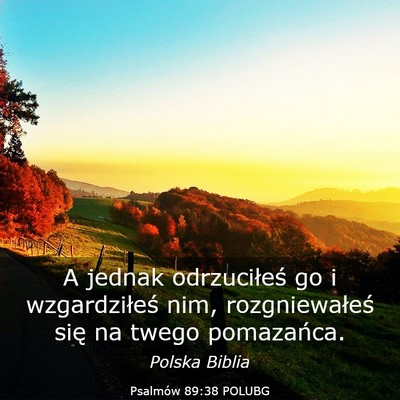 Picture 03 - Psalmów 89:38 POLUBG - A jednak odrzuciłeś go i wzgardziłeś nim, - Bible Verse Picture
