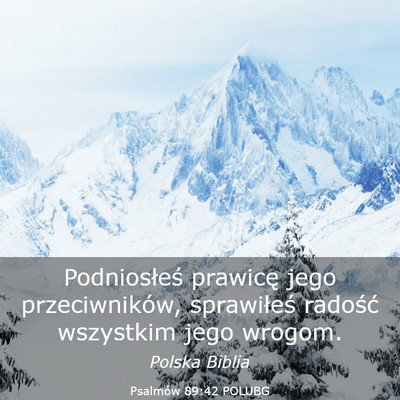 Picture 03 - Psalmów 89:42 POLUBG - Podniosłeś prawicę jego przeciwników, - Bible Verse Picture