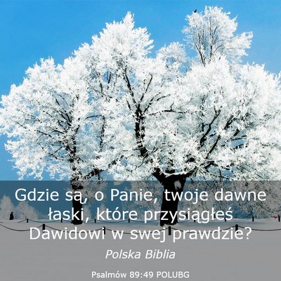 Picture 03 - Psalmów 89:49 POLUBG - Gdzie są, o Panie, twoje dawne łaski, które - Bible Verse Picture