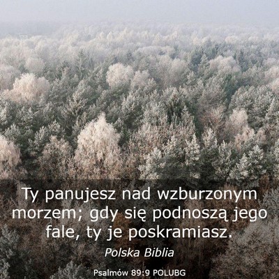 Picture 03 - Psalmów 89:9 POLUBG - Ty panujesz nad wzburzonym morzem; gdy się - Bible Verse Picture