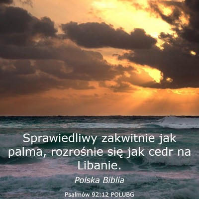 Picture 03 - Psalmów 92:12 POLUBG - Sprawiedliwy zakwitnie jak palma, rozrośnie się - Bible Verse Picture