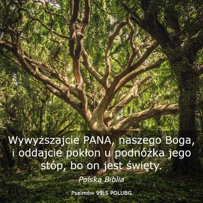 Picture 03 - Psalmów 99:5 POLUBG - Wywyższajcie PANA, naszego Boga, i oddajcie - Bible Verse Picture
