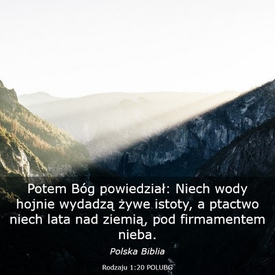 Picture 03 - Rodzaju 1:20 POLUBG - Potem Bóg powiedział: Niech wody hojnie - Bible Verse Picture