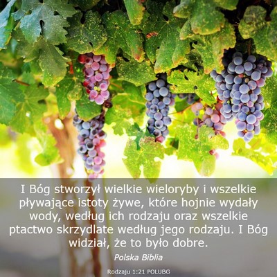 Picture 03 - Rodzaju 1:21 POLUBG - I Bóg stworzył wielkie wieloryby i wszelkie - Bible Verse Picture