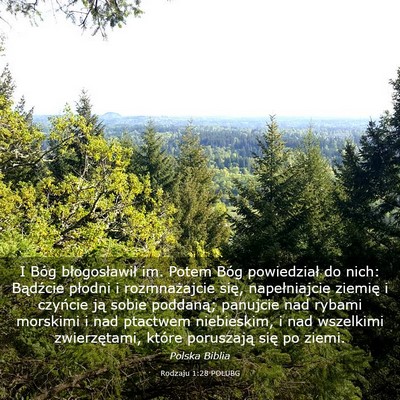 Picture 03 - Rodzaju 1:28 POLUBG - I Bóg błogosławił im. Potem Bóg powiedział - Bible Verse Picture
