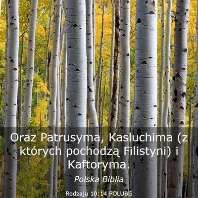 Picture 03 - Rodzaju 10:14 POLUBG - Oraz Patrusyma, Kasluchima (z których pochodzą - Bible Verse Picture