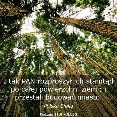 Picture 03 - Rodzaju 11:8 POLUBG - I tak PAN rozproszył ich stamtąd po całej - Bible Verse Picture
