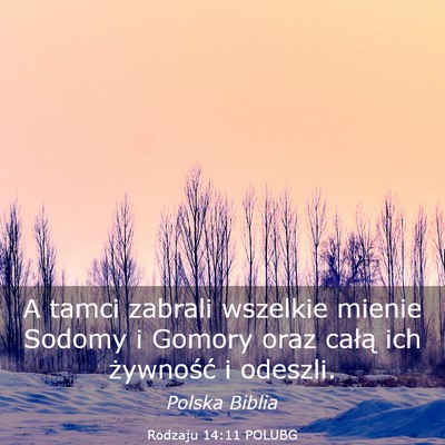 Picture 03 - Rodzaju 14:11 POLUBG - A tamci zabrali wszelkie mienie Sodomy i Gomory - Bible Verse Picture