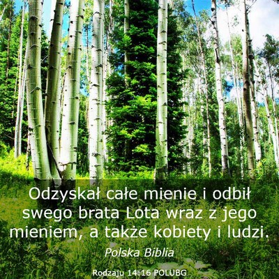 Picture 03 - Rodzaju 14:16 POLUBG - Odzyskał całe mienie i odbił swego brata Lota - Bible Verse Picture