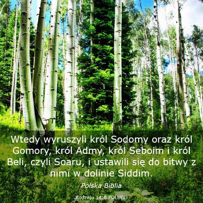 Picture 03 - Rodzaju 14:8 POLUBG - Wtedy wyruszyli król Sodomy oraz król Gomory, - Bible Verse Picture