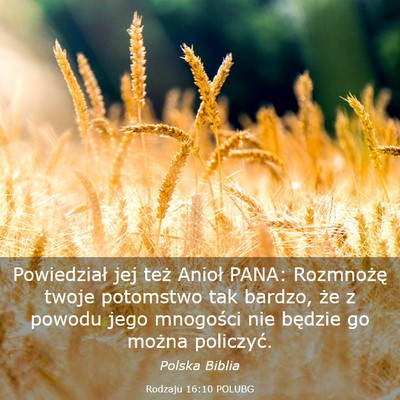 Picture 03 - Rodzaju 16:10 POLUBG - Powiedział jej też Anioł PANA: Rozmnożę - Bible Verse Picture