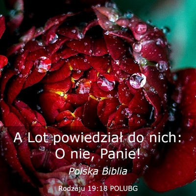 Picture 03 - Rodzaju 19:18 POLUBG - A Lot powiedział do nich: O nie, - Bible Verse Picture