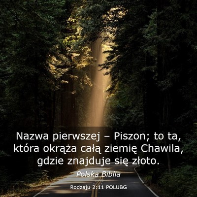 Picture 03 - Rodzaju 2:11 POLUBG - Nazwa pierwszej – Piszon; to ta, która - Bible Verse Picture