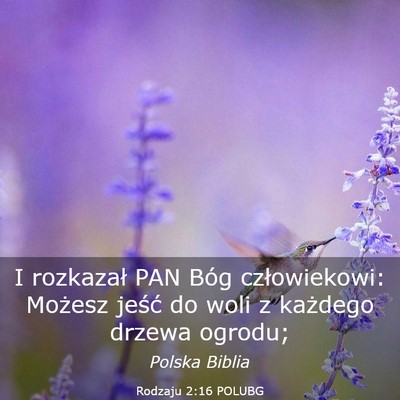 Picture 03 - Rodzaju 2:16 POLUBG - I rozkazał PAN Bóg człowiekowi: Możesz jeść - Bible Verse Picture