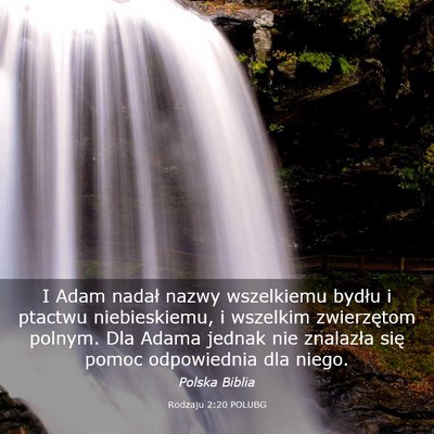 Picture 03 - Rodzaju 2:20 POLUBG - I Adam nadał nazwy wszelkiemu bydłu i ptactwu - Bible Verse Picture
