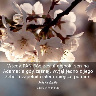 Picture 03 - Rodzaju 2:21 POLUBG - Wtedy PAN Bóg zesłał głęboki sen na Adama; a - Bible Verse Picture