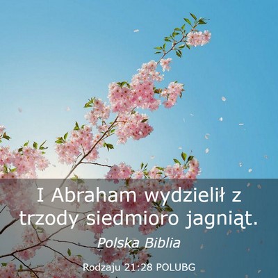 Picture 03 - Rodzaju 21:28 POLUBG - I Abraham wydzielił z trzody siedmioro - Bible Verse Picture
