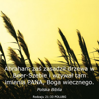 Picture 03 - Rodzaju 21:33 POLUBG - Abraham zaś zasadził drzewa w Beer-Szebie i - Bible Verse Picture