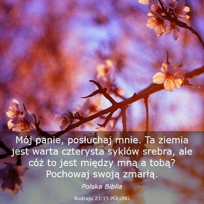Picture 03 - Rodzaju 23:15 POLUBG - Mój panie, posłuchaj mnie. Ta ziemia jest warta - Bible Verse Picture