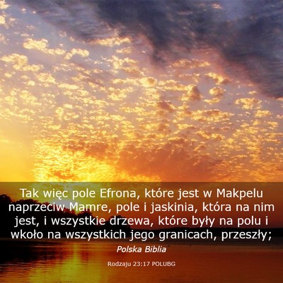 Picture 03 - Rodzaju 23:17 POLUBG - Tak więc pole Efrona, które jest w Makpelu - Bible Verse Picture