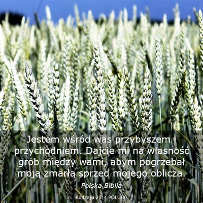 Picture 03 - Rodzaju 23:4 POLUBG - Jestem wśród was przybyszem i przychodniem. - Bible Verse Picture