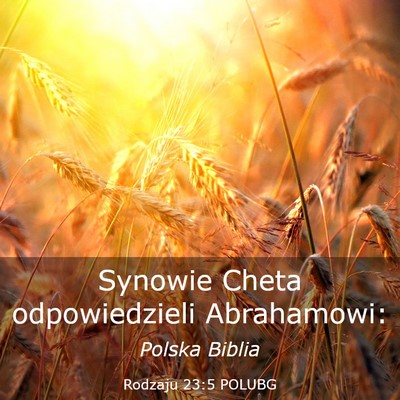 Picture 03 - Rodzaju 23:5 POLUBG - Synowie Cheta odpowiedzieli - Bible Verse Picture
