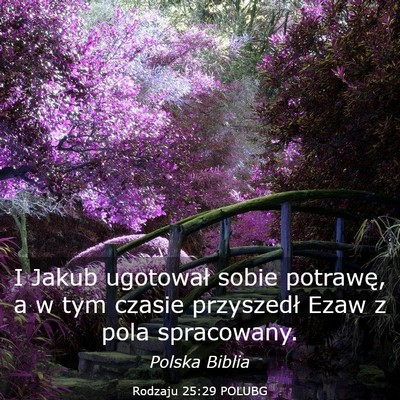 Picture 03 - Rodzaju 25:29 POLUBG - I Jakub ugotował sobie potrawę, a w tym czasie - Bible Verse Picture