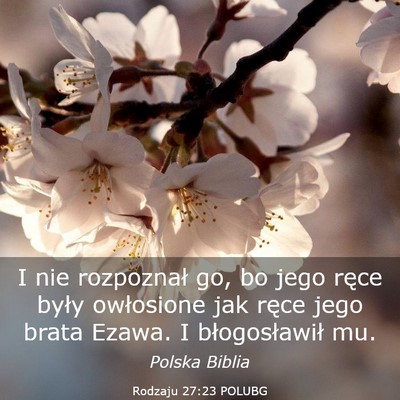 Picture 03 - Rodzaju 27:23 POLUBG - I nie rozpoznał go, bo jego ręce były - Bible Verse Picture