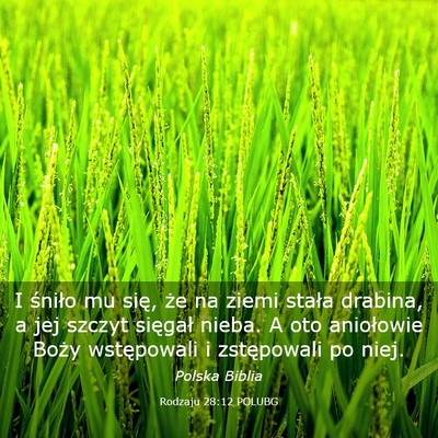 Picture 03 - Rodzaju 28:12 POLUBG - I śniło mu się, że na ziemi stała drabina, a - Bible Verse Picture