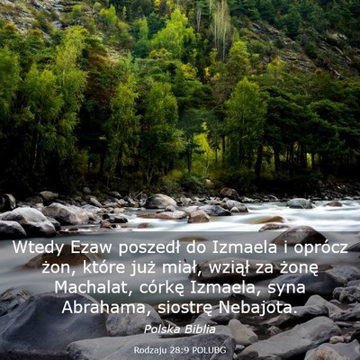 Picture 03 - Rodzaju 28:9 POLUBG - Wtedy Ezaw poszedł do Izmaela i oprócz żon, - Bible Verse Picture