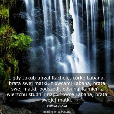 Picture 03 - Rodzaju 29:10 POLUBG - I gdy Jakub ujrzał Rachelę, córkę Labana, - Bible Verse Picture