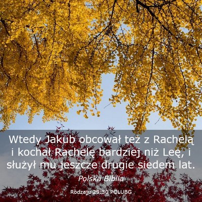 Picture 03 - Rodzaju 29:30 POLUBG - Wtedy Jakub obcował też z Rachelą i kochał - Bible Verse Picture