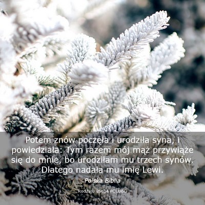 Picture 03 - Rodzaju 29:34 POLUBG - Potem znów poczęła i urodziła syna, i - Bible Verse Picture