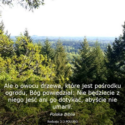 Picture 03 - Rodzaju 3:3 POLUBG - Ale o owocu drzewa, które jest pośrodku ogrodu, - Bible Verse Picture