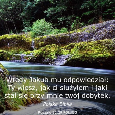 Picture 03 - Rodzaju 30:29 POLUBG - Wtedy Jakub mu odpowiedział: Ty wiesz, jak ci - Bible Verse Picture