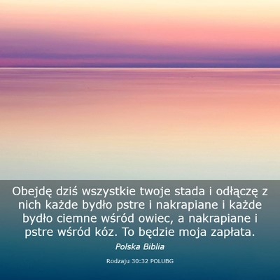 Picture 03 - Rodzaju 30:32 POLUBG - Obejdę dziś wszystkie twoje stada i odłączę - Bible Verse Picture