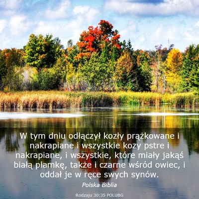 Picture 03 - Rodzaju 30:35 POLUBG - W tym dniu odłączył kozły prążkowane i - Bible Verse Picture
