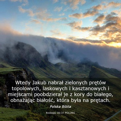 Picture 03 - Rodzaju 30:37 POLUBG - Wtedy Jakub nabrał zielonych prętów - Bible Verse Picture