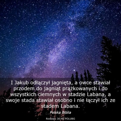 Picture 03 - Rodzaju 30:40 POLUBG - I Jakub odłączył jagnięta, a owce stawiał - Bible Verse Picture