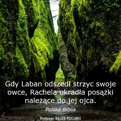 Picture 03 - Rodzaju 31:19 POLUBG - Gdy Laban odszedł strzyc swoje owce, Rachela - Bible Verse Picture