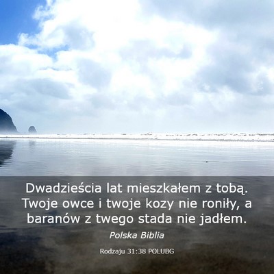 Picture 03 - Rodzaju 31:38 POLUBG - Dwadzieścia lat mieszkałem z tobą. Twoje owce - Bible Verse Picture