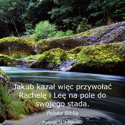 Picture 03 - Rodzaju 31:4 POLUBG - Jakub kazał więc przywołać Rachelę i Leę na - Bible Verse Picture