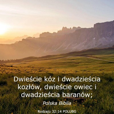 Picture 03 - Rodzaju 32:14 POLUBG - Dwieście kóz i dwadzieścia kozłów, dwieście - Bible Verse Picture