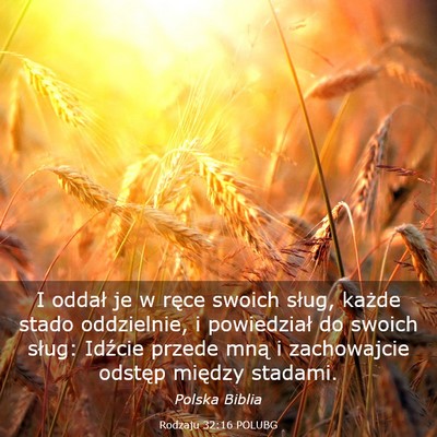 Picture 03 - Rodzaju 32:16 POLUBG - I oddał je w ręce swoich sług, każde stado - Bible Verse Picture
