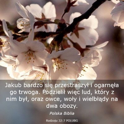 Picture 03 - Rodzaju 32:7 POLUBG - Jakub bardzo się przestraszył i ogarnęła go - Bible Verse Picture