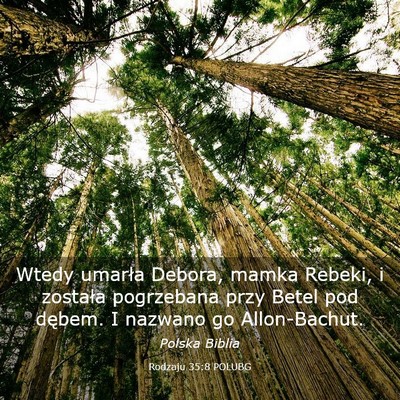 Picture 03 - Rodzaju 35:8 POLUBG - Wtedy umarła Debora, mamka Rebeki, i została - Bible Verse Picture