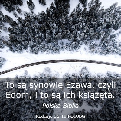Picture 03 - Rodzaju 36:19 POLUBG - To są synowie Ezawa, czyli Edom, i to są ich - Bible Verse Picture