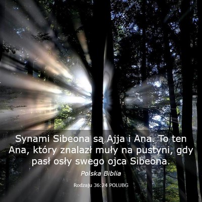 Picture 03 - Rodzaju 36:24 POLUBG - Synami Sibeona są Ajja i Ana. To ten Ana, który - Bible Verse Picture